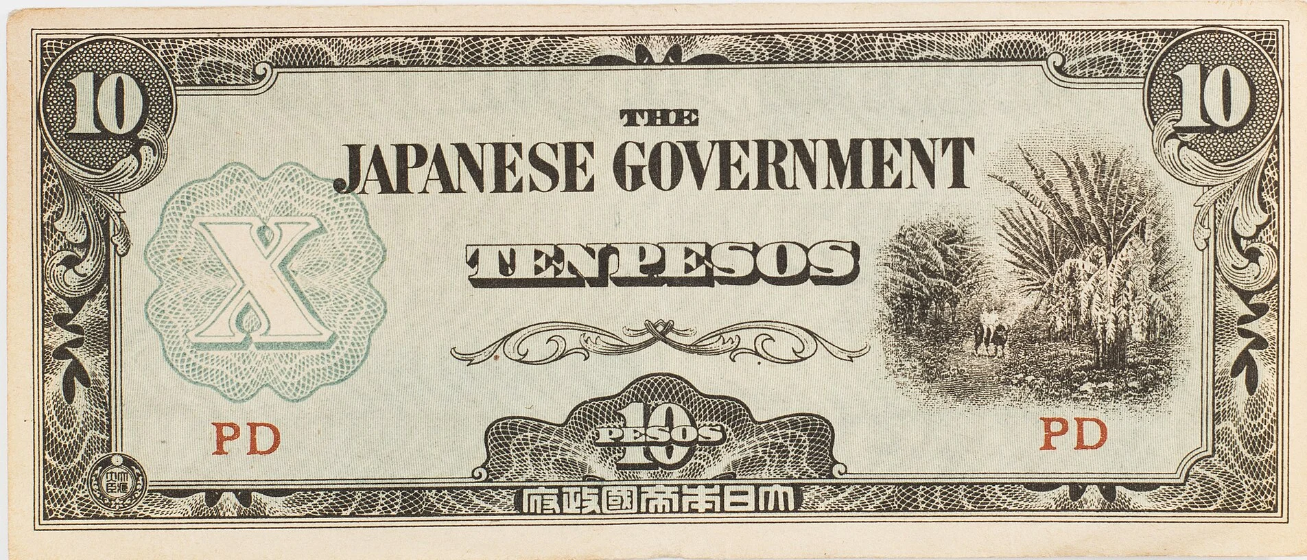 peso.webp