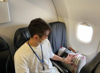 pets-on-board.webp