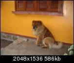 picture0032jqth-1.webp