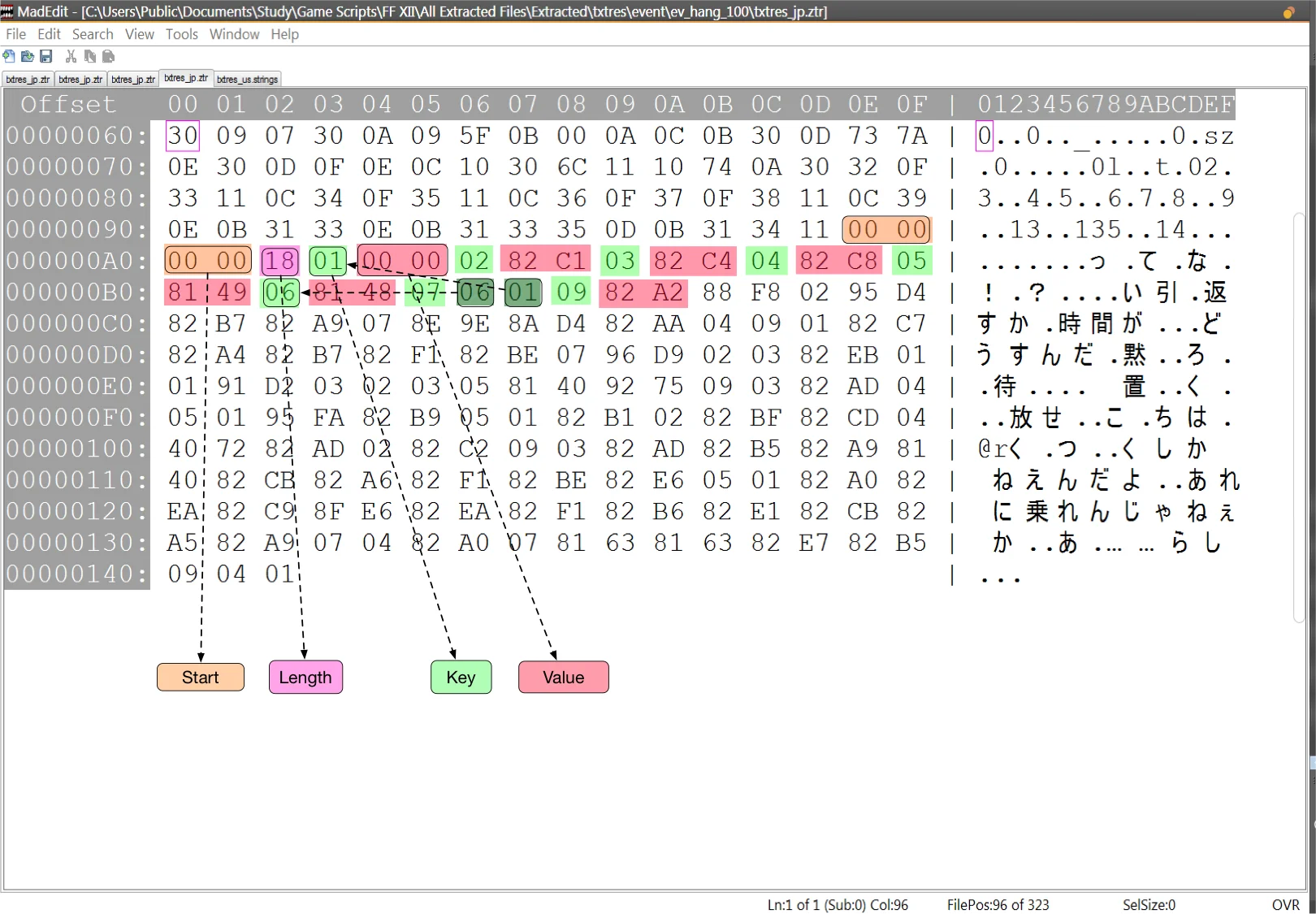 Picture1.webp