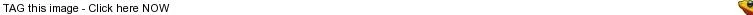 picture1gq644a0f1b0f6-1.webp