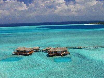 Picture898-1.webp
