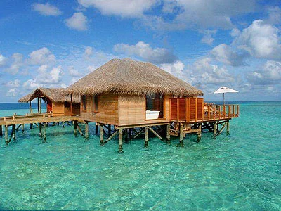 Picture901-1.webp