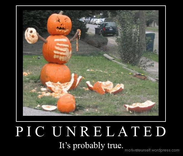 picunrelated-1.webp