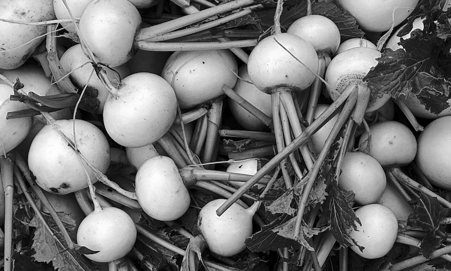 ping pong balls.JPG