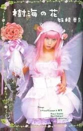 pink-1.webp
