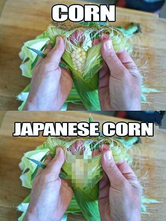 28319