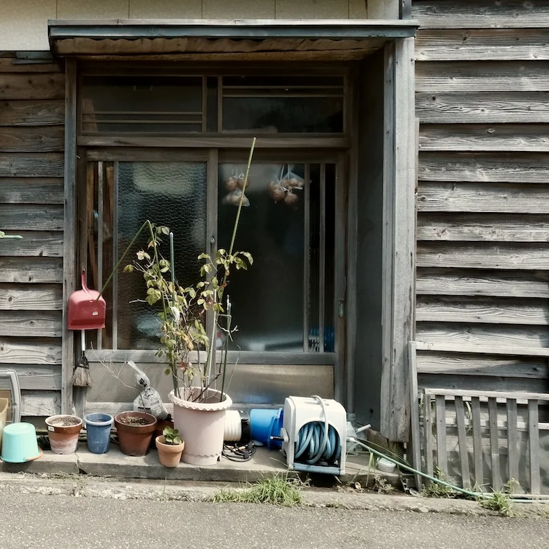pots onions.webp
