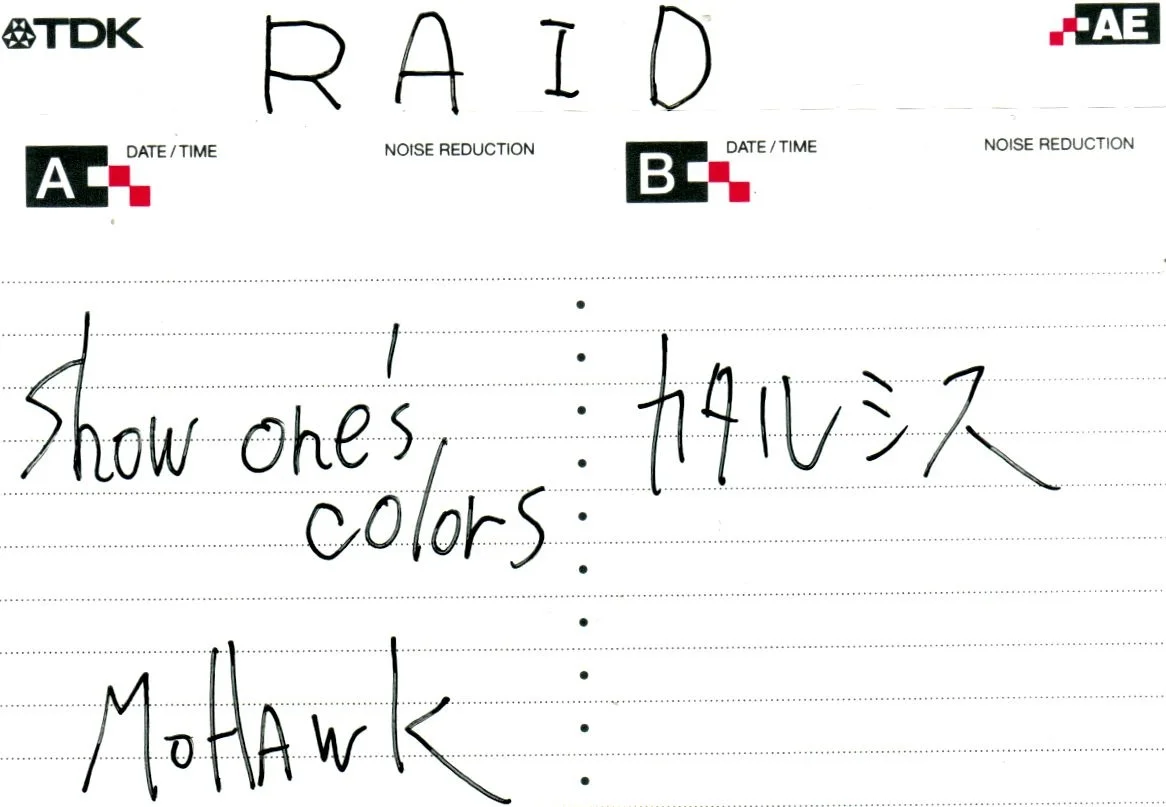 raid cover.webp