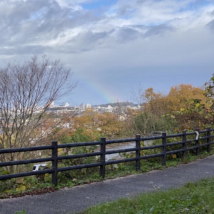 rainbow.webp