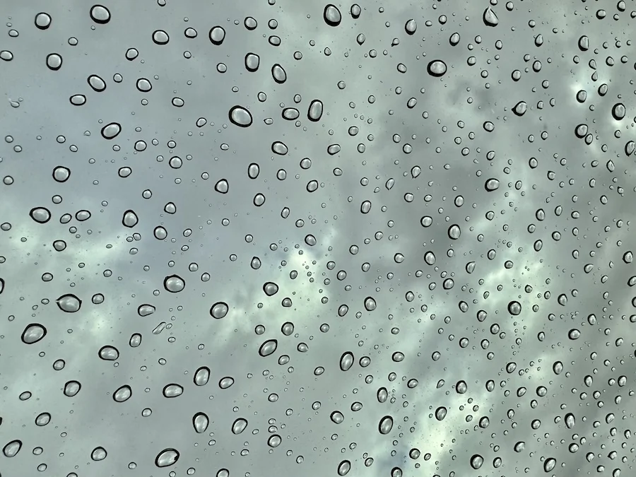 raindrops.webp