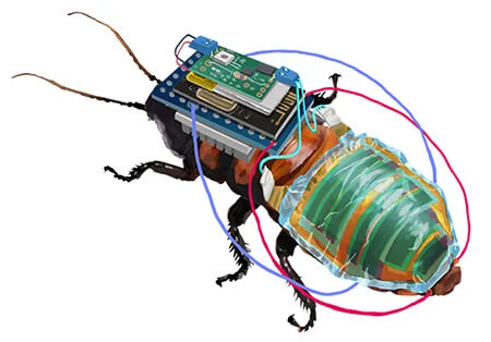 remote-controlled-cockroach.webp