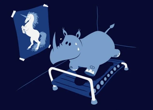 rhinoaspirations-1.webp