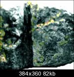 ringface222zn0thgif-1.webp