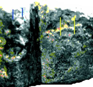ringface333qn8gif-1.webp