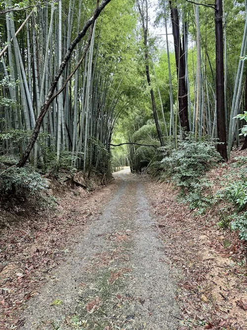 road 2.webp