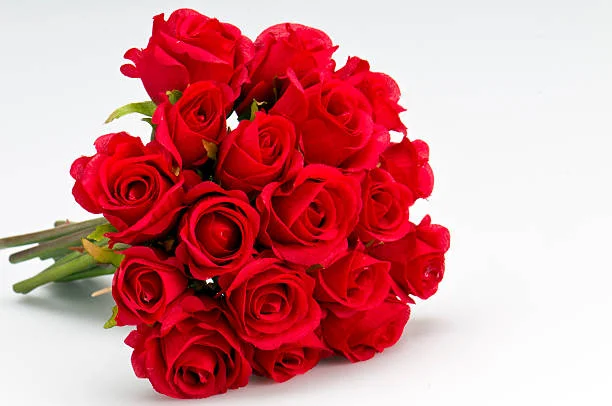 roses.webp
