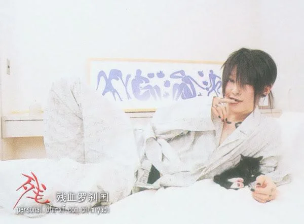 s13-1.webp