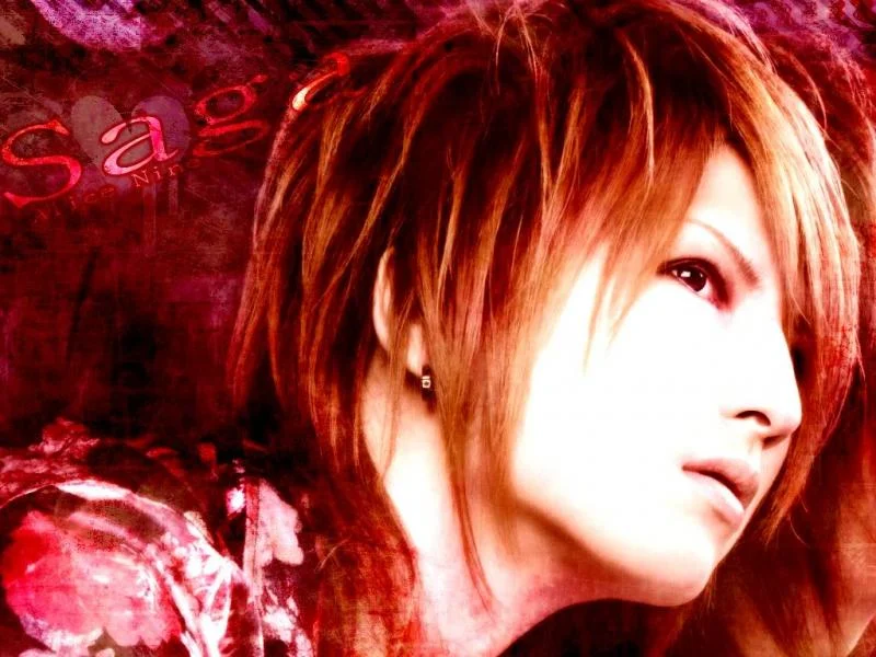 Sagaheartwally-1.webp