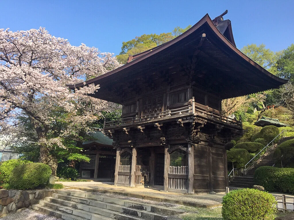 sakura-2021-13.jpg
