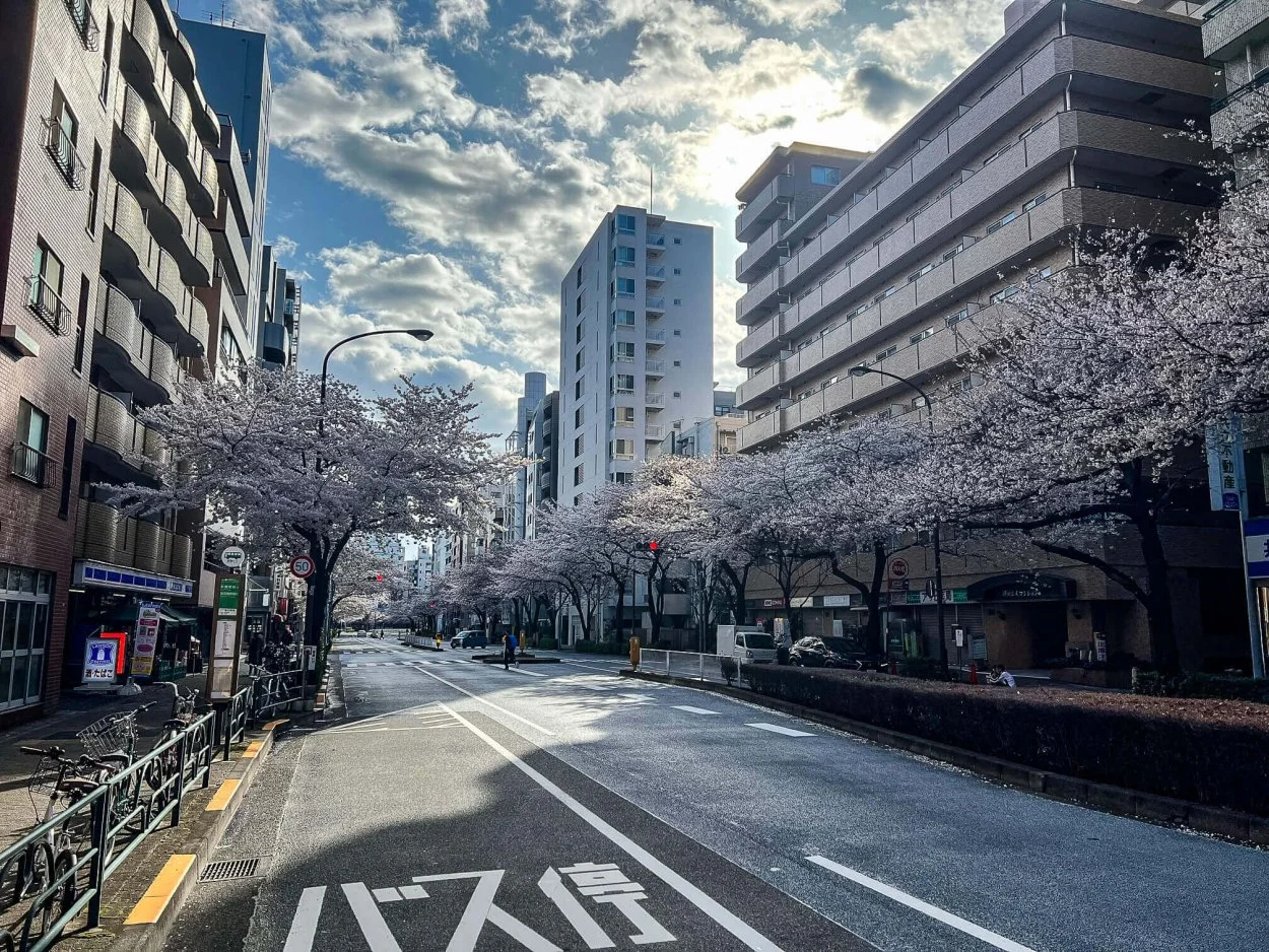 sakura-commute-27032022-03.jpg