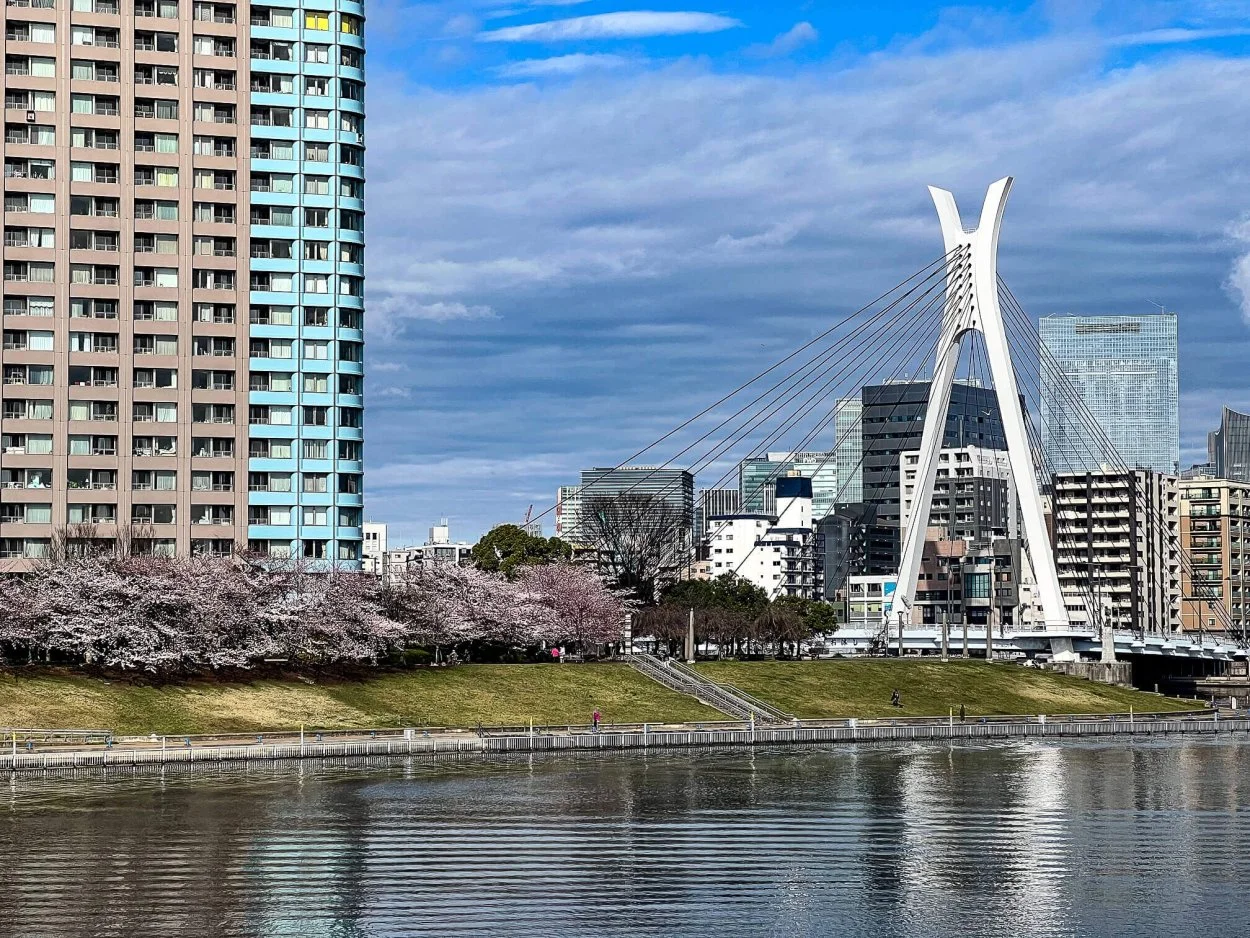 sakura-commute-27032022-06.jpg