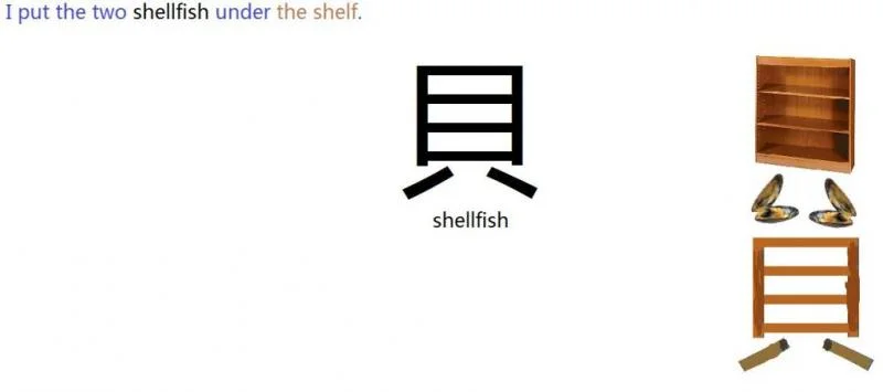 shellfish-1.webp