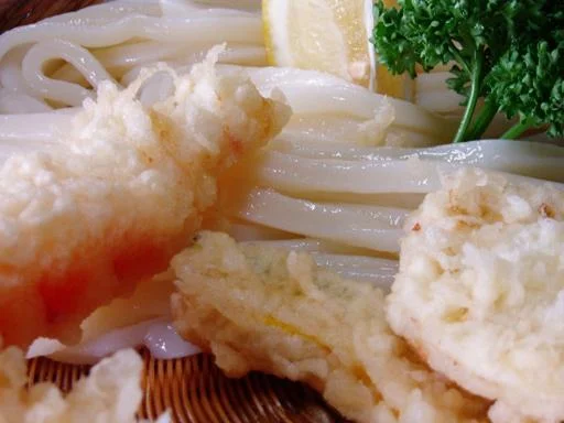 shikoku_udon1-1.webp