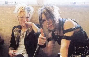 shinaoi-1.webp
