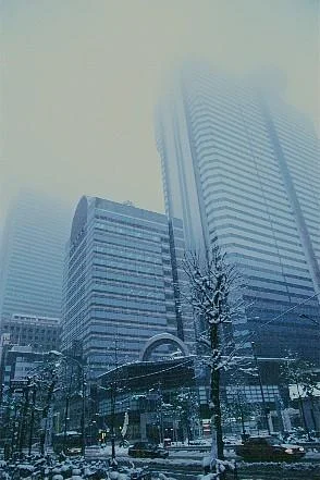 Shinjukusnow-1.webp