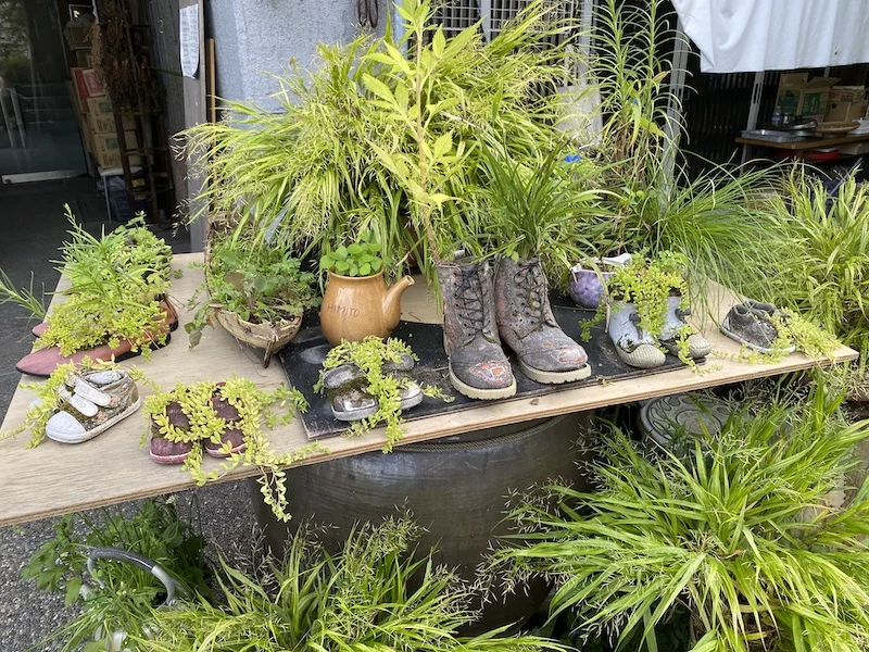 shoe display.jpeg