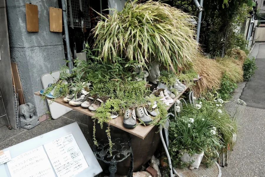 shoe garden.webp