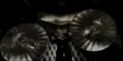 shou1gif-1.webp