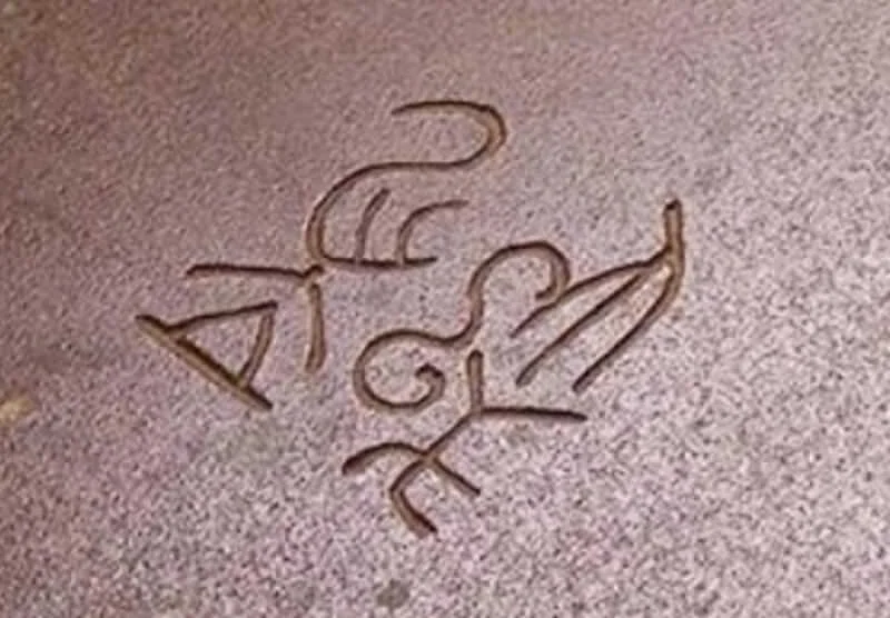 signature.webp