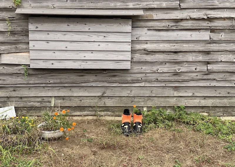 ski boot garden-2.webp