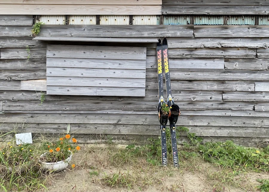 ski boot garden.webp