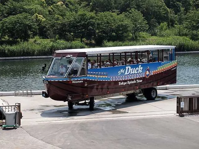 sky-duck.webp
