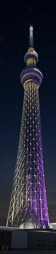 20803