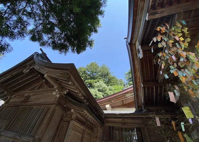 skywards.webp