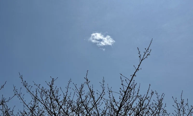 skywards.webp
