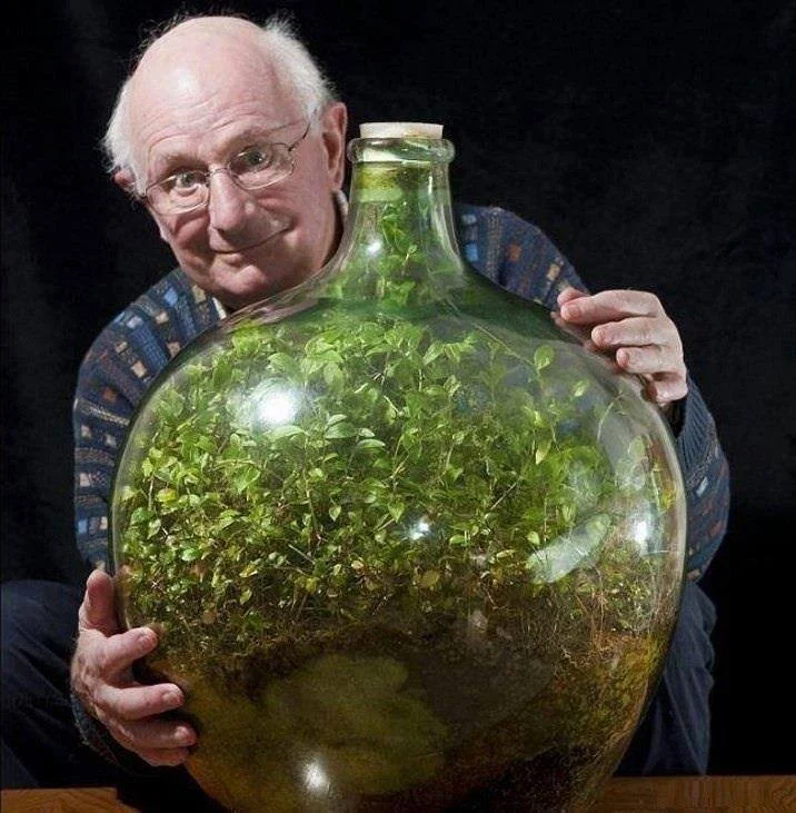 Smallest-oldest-surviving-ecosystem-in-the-world.jpg