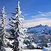 snow-1.webp