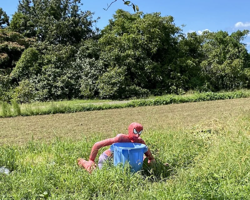 spiderman.webp