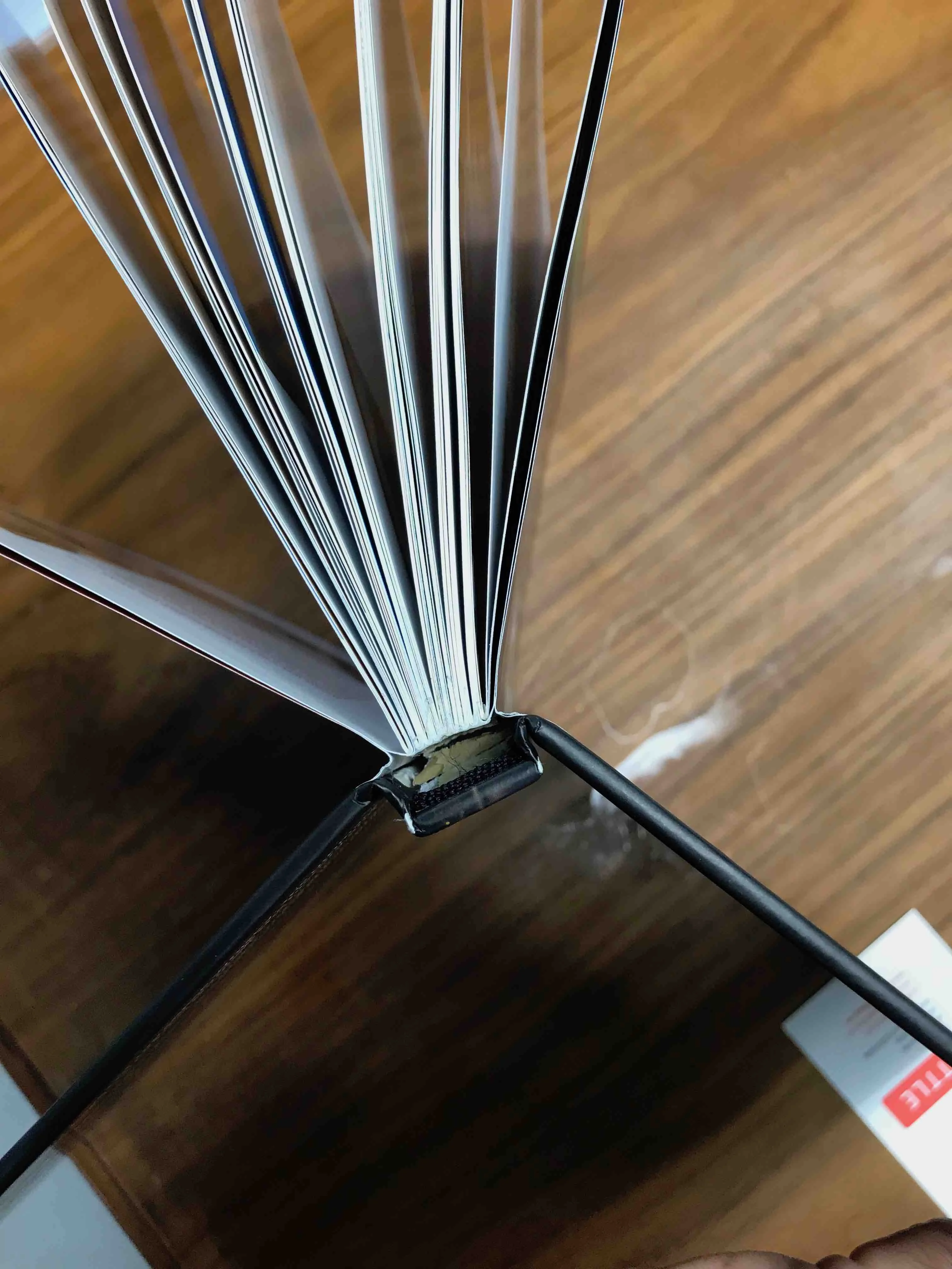 Spine.webp