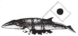 stabbed_whale-1.webp
