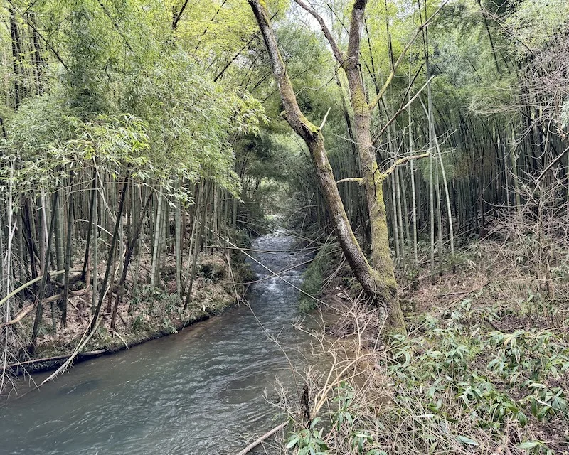 stream.webp