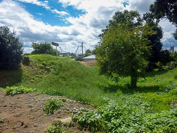 Sukagawa Castle  (須賀川城)