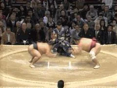 sumogif-1.webp