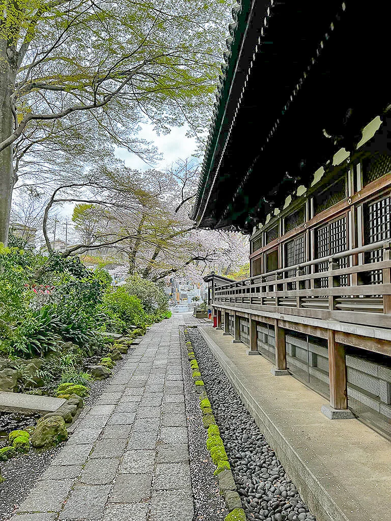 Hondō