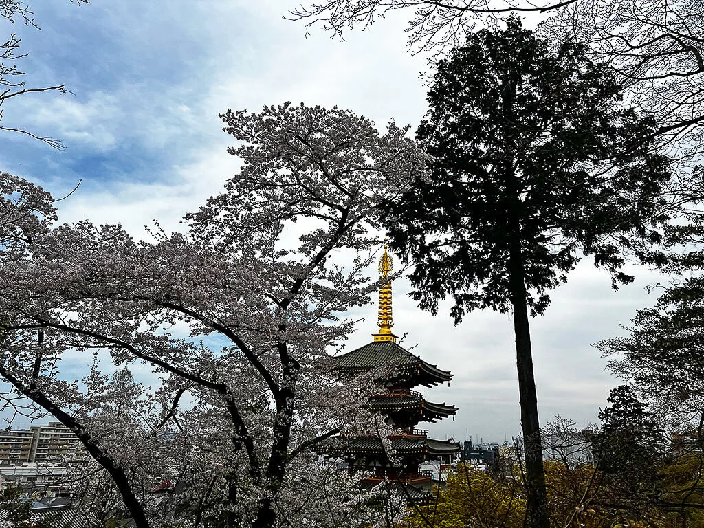 Tama Hills Nature Park